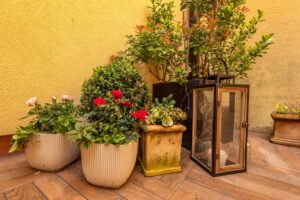 Dům u lázní Federer