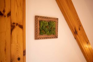 Vila Evio - Apartmán v podkroví